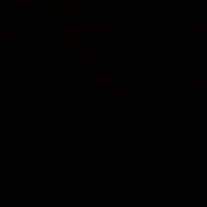 Meet your Posher, Armando